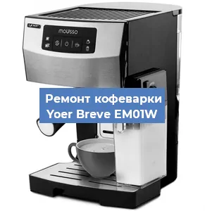 Замена дренажного клапана на кофемашине Yoer Breve EM01W в Санкт-Петербурге